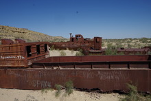 IMGP9821