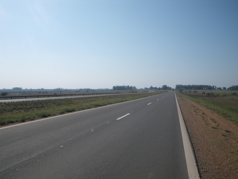 IMGP3275