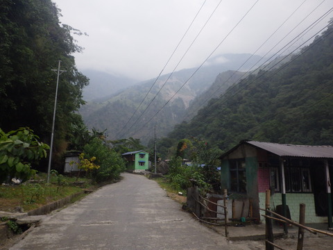 RIMG6961