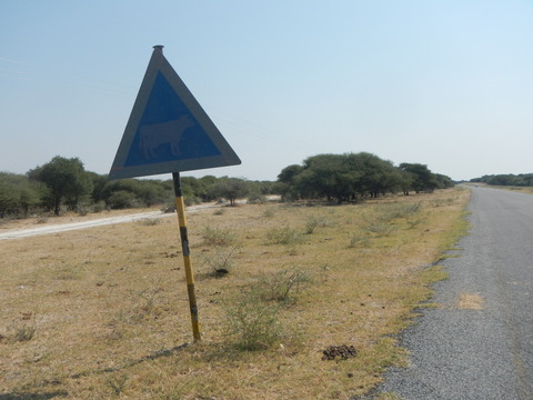 DSCN4724