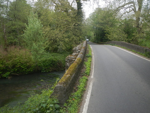 DSCN4667