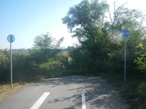 DSCN2071