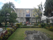 DSCN0505