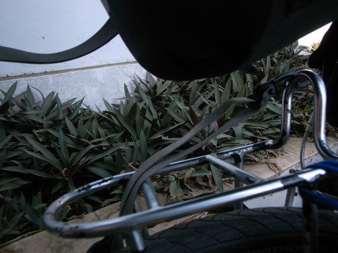 RIMG0132