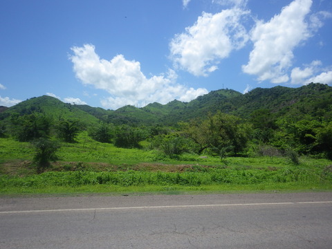 RIMG5398