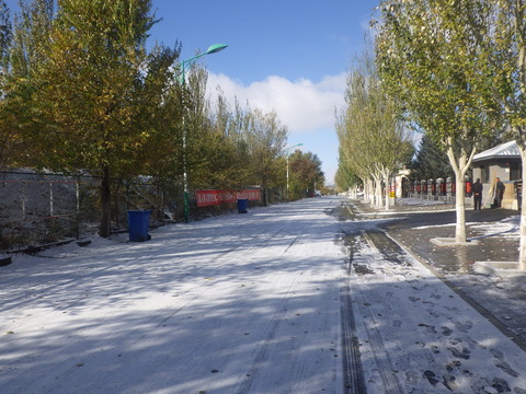 RIMG5561