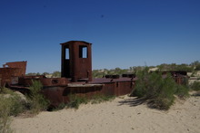 IMGP9825
