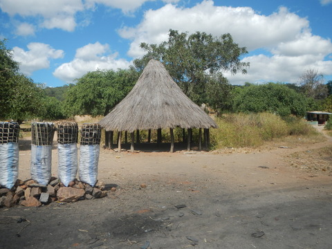 DSCN4193