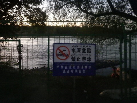 RIMG4216
