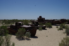 IMGP9822