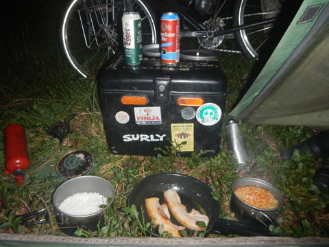 DSCN0866