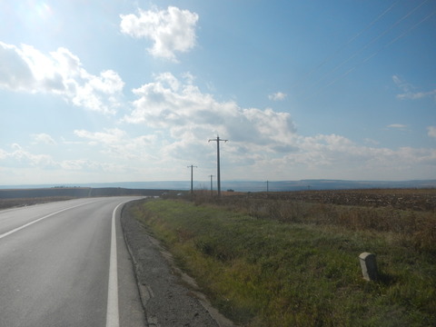 DSCN8284