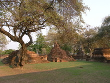 RIMG0156