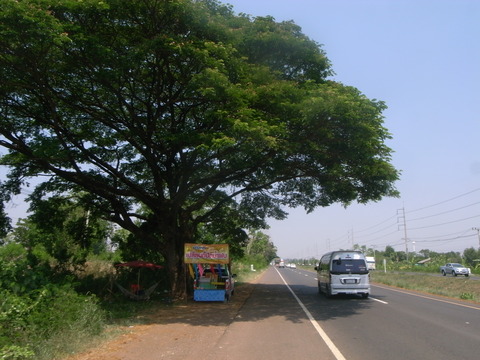 RIMG0010