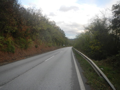 DSCN3597