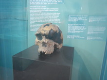 DSCN0511