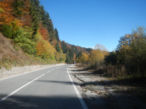 DSCN3454