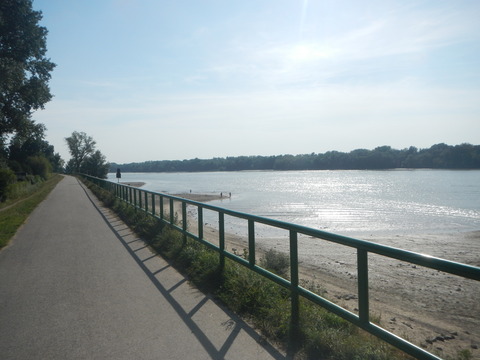 DSCN2155