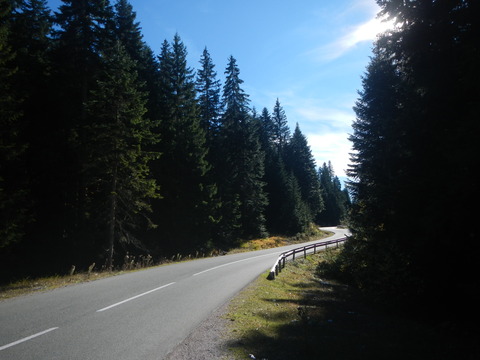 DSCN3464