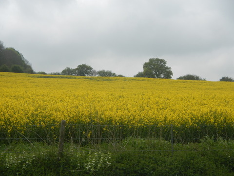 DSCN4678