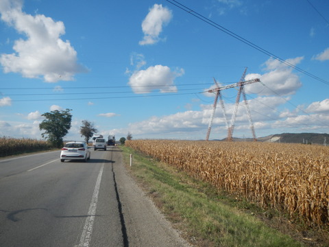 DSCN8358