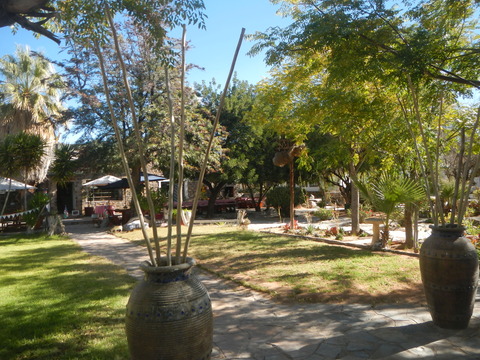 DSCN5408