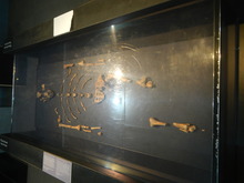 DSCN0509