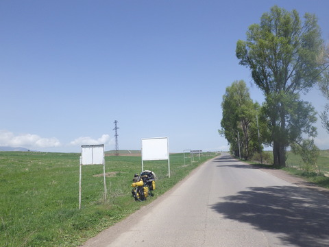 RIMG2771