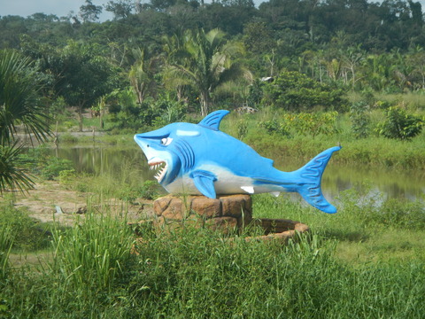 DSCN3544