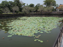 P4050802