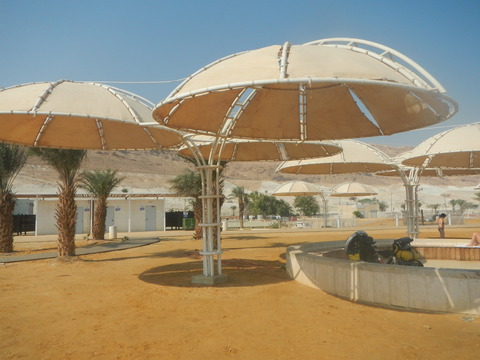 DSCN8996