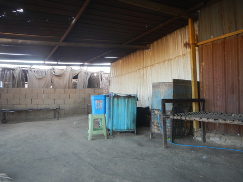 DSCN0086