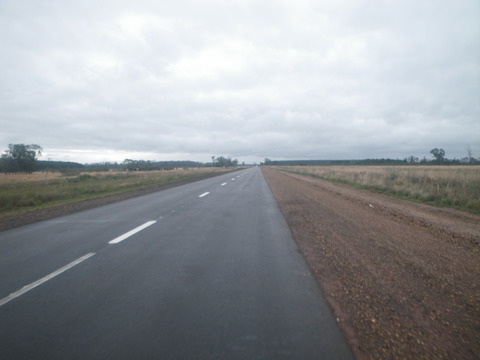 IMGP3315
