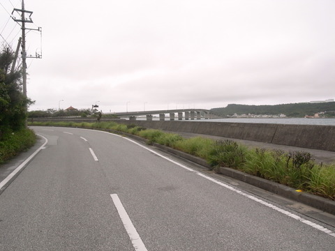 RIMG0014 1
