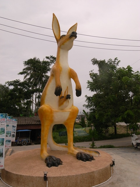 RIMG0014