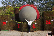 IMGP9894
