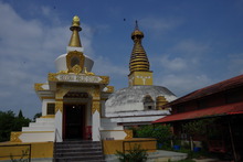 IMGP9768