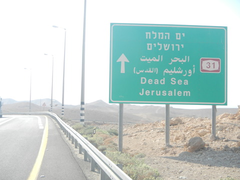 DSCN8981