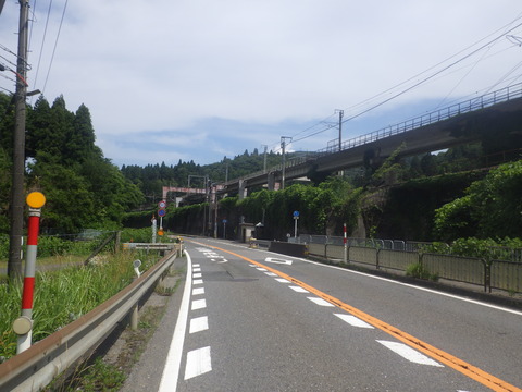 RIMG8907