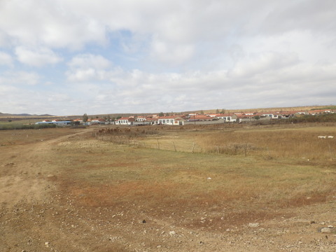 RIMG5537