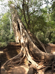 P3110724