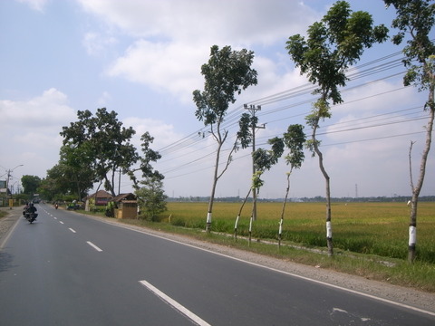 RIMG0114