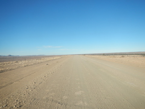 DSCN5418