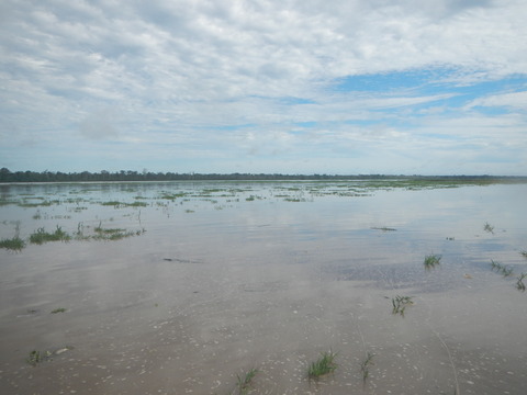 DSCN1633