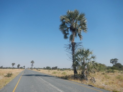 DSCN4692