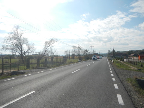 DSCN8336