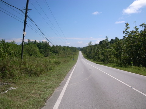 RIMG0106