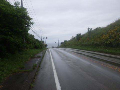 RIMG9801
