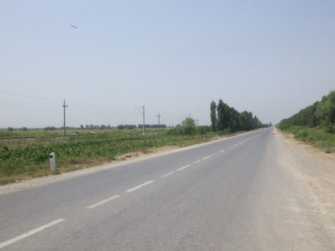 RIMG2907