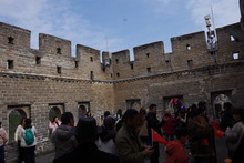 IMGP9904